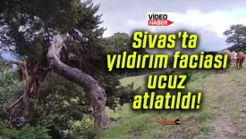 Sivas’ta yıldırım faciası ucuz atlatıldı!