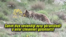 Canım diye seslendiği ayıyı görüntüledi! o anlar izleyenleri gülümsetti!