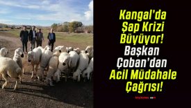Kangal’da Şap Krizi Büyüyor! Başkan Çoban’dan Acil Müdahale Çağrısı!