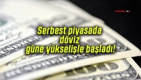 Serbest piyasada döviz güne yükselişle başladı!