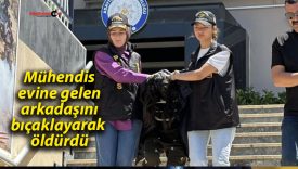 Mühendis, evine gelen arkadaşını bıçaklayarak öldürdü