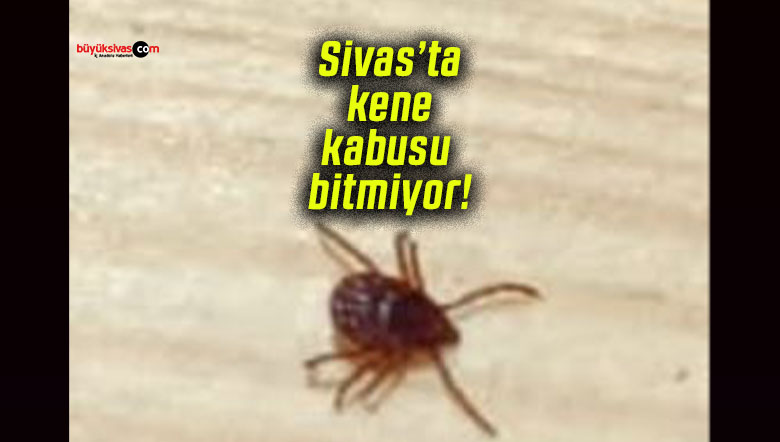 bitmiyor