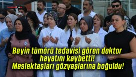Beyin tümörü tedavisi gören doktor hayatını kaybetti! Meslektaşları gözyaşlarına boğuldu!