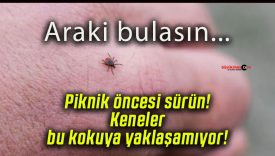 Piknik öncesi sürün! Keneler bu kokuya yaklaşamıyor!