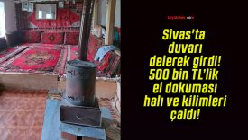 Sivas’ta duvarı delerek girdi! 500 bin TL’lik el dokuması halı ve kilimleri çaldı!