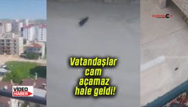 Vatandaşlar cam açamaz hale geldi!