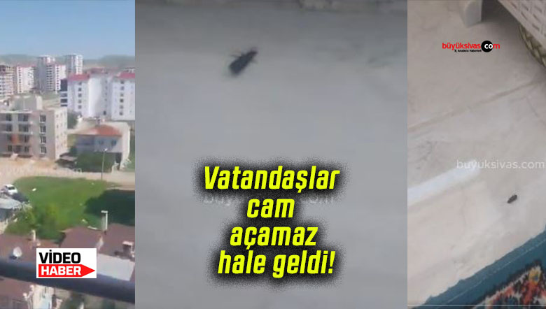 Vatandaşlar cam açamaz hale geldi!