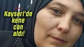 Kayseri’de kene can aldı!