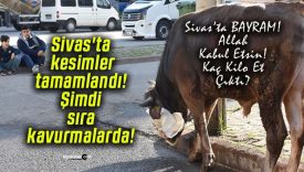 Sivas’ta kesimler tamamlandı! Şimdi sıra kavurmalarda!