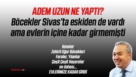 Adem Uzun döneminde haşereler Sivas’ta evlere kadar girdi!