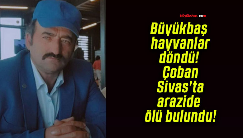 Büyükbaş hayvanlar döndü! Çoban Sivas’ta arazide ölü bulundu!