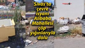 Sivas’ta çevre isyanı: Alibaba Mahallesi çöp yığınlarıyla dolu