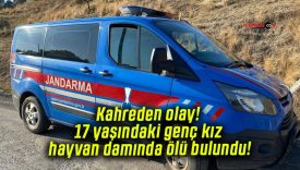 Kahreden olay! 17 yaşındaki genç kız hayvan damında ölü bulundu!