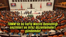 TBMM’de bu hafta Meclis Başkanlığı seçimleri ve infaz düzenlemeleri gündemde!