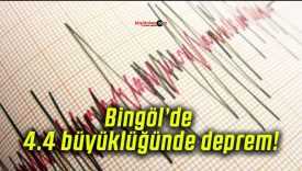 Bingöl’de 4.4 büyüklüğünde deprem!