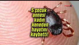 5 çocuk annesi kadın keneden hayatını kaybetti!