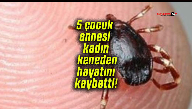 5 çocuk annesi kadın keneden hayatını kaybetti!