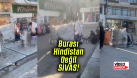 Sivas’ta Hindistan’ı andıran manzara! Bankalar Caddesi’nde ilginç görüntüler!