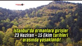 İstanbul’da ormanlara girişler 23 Haziran – 15 Ekim tarihleri arasında yasaklandı!