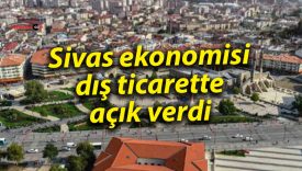 Sivas ekonomisi dış ticarette açık verdi