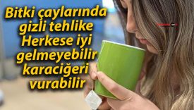 Bitki çaylarında gizli tehlike: Herkese iyi gelmeyebilir, karaciğeri vurabilir