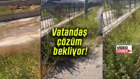 Vatandaş çözüm bekliyor!
