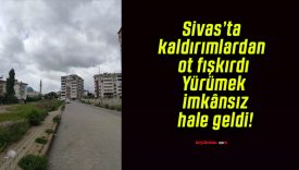 Sivas’ta kaldırımlardan ot fışkırdı! Yürümek imkânsız hale geldi!