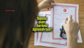 Tapusu olan herkesi ilgilendiriyor! Gerçek bedeli gizleyene milyonluk ceza yolda!
