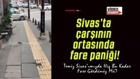 Sivas’ta çarşının ortasında fare paniği!
