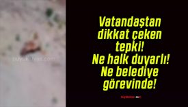 Vatandaştan dikkat çeken tepki! Ne halk duyarlı! Ne belediye görevinde!