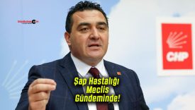 Şap Hastalığı Meclis Gündeminde! Karasu’dan Aşılama Ve Destek Çağrısı!