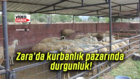 Zara’da kurbanlık pazarında durgunluk!