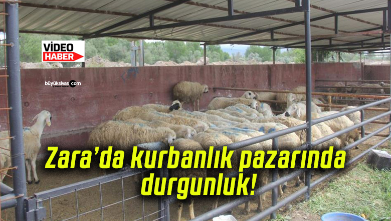 Zara’da kurbanlık pazarında durgunluk!