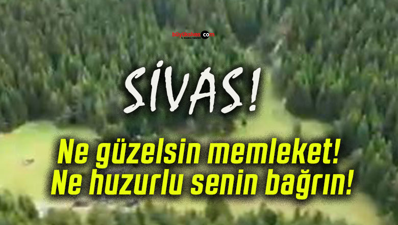 Ne güzelsin memleket! Ne huzurlu senin bağrın!