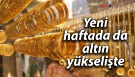 Yeni haftada da altın yükselişte