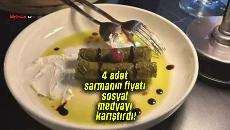 karıştırd