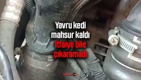 Sivas’ta yavru kedi araçta mahsur kaldı, itfaiye çıkaramadı