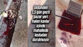 Kurban kesim alanı kanlar içinde kaldı, mahalle kokudan geçilmiyor!