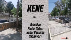 Kader Evler’de Kene Korkusu: “İnsan Canı Bu Kadar Basit Olmamalı”