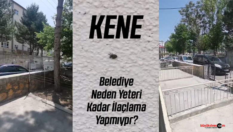Kader Evler’de Kene Korkusu: “İnsan Canı Bu Kadar Basit Olmamalı”