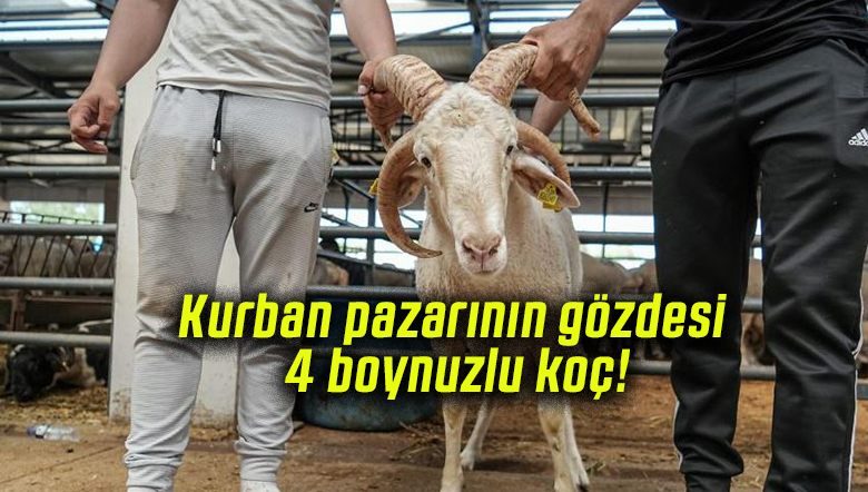 koçum2