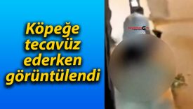 Köpeğe tecavüz ederken görüntülendi
