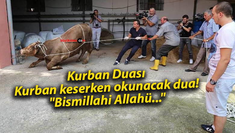 Kurban Duası: Kurban keserken okunacak dua! “Bismillahi Allahü…”
