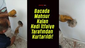 Bacada Mahsur Kalan Kedi İtfaiye Tarafından Kurtarıldı!