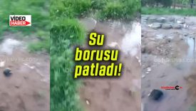 Paşabahçe mesire alanında su borusu patladı!