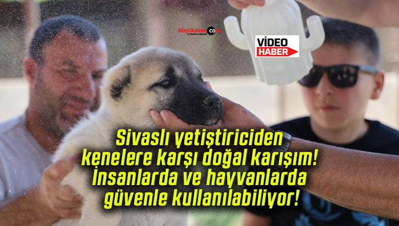 Sivaslı yetiştiriciden kenelere karşı doğal karışım! İnsanlarda ve hayvanlarda güvenle kullanılabiliyor!