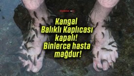 Kangal Balıklı Kaplıcası kapalı! Binlerce hasta mağdur!