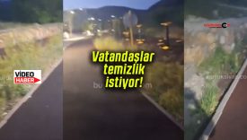 Paşabahçe yolundaki ot yığınları tehlike saçıyor! Vatandaşlar temizlik istiyor!