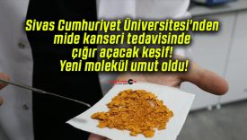 Sivas Cumhuriyet Üniversitesi’nden mide kanseri tedavisinde çığır açacak keşif! Yeni molekül umut oldu!