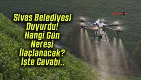 Sivas Belediyesi Duyurdu! Hangi Gün Neresi İlaçlanacak? İşte Cevabı..